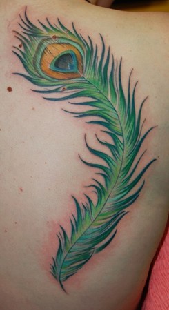 Marvin Silva - Peacock Feather